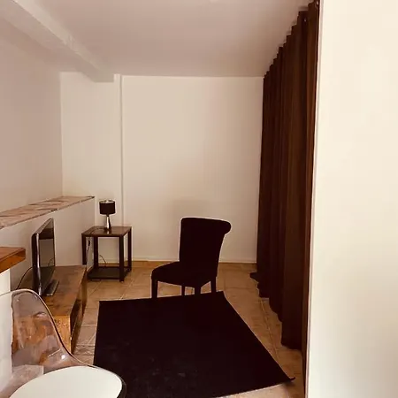 Apartment Jaures 99 - 2 Chambres Salle De Billard Et Jardin *